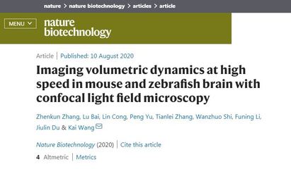 給大腦抓拍個工作照 新技術高速捕捉神經元活動與血流動態(tài)